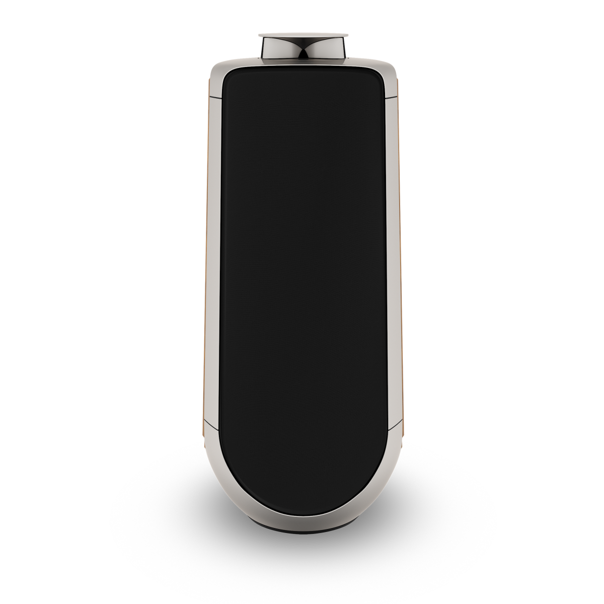 Bang & Olufsen BEOLAB 50 - Ảnh 18