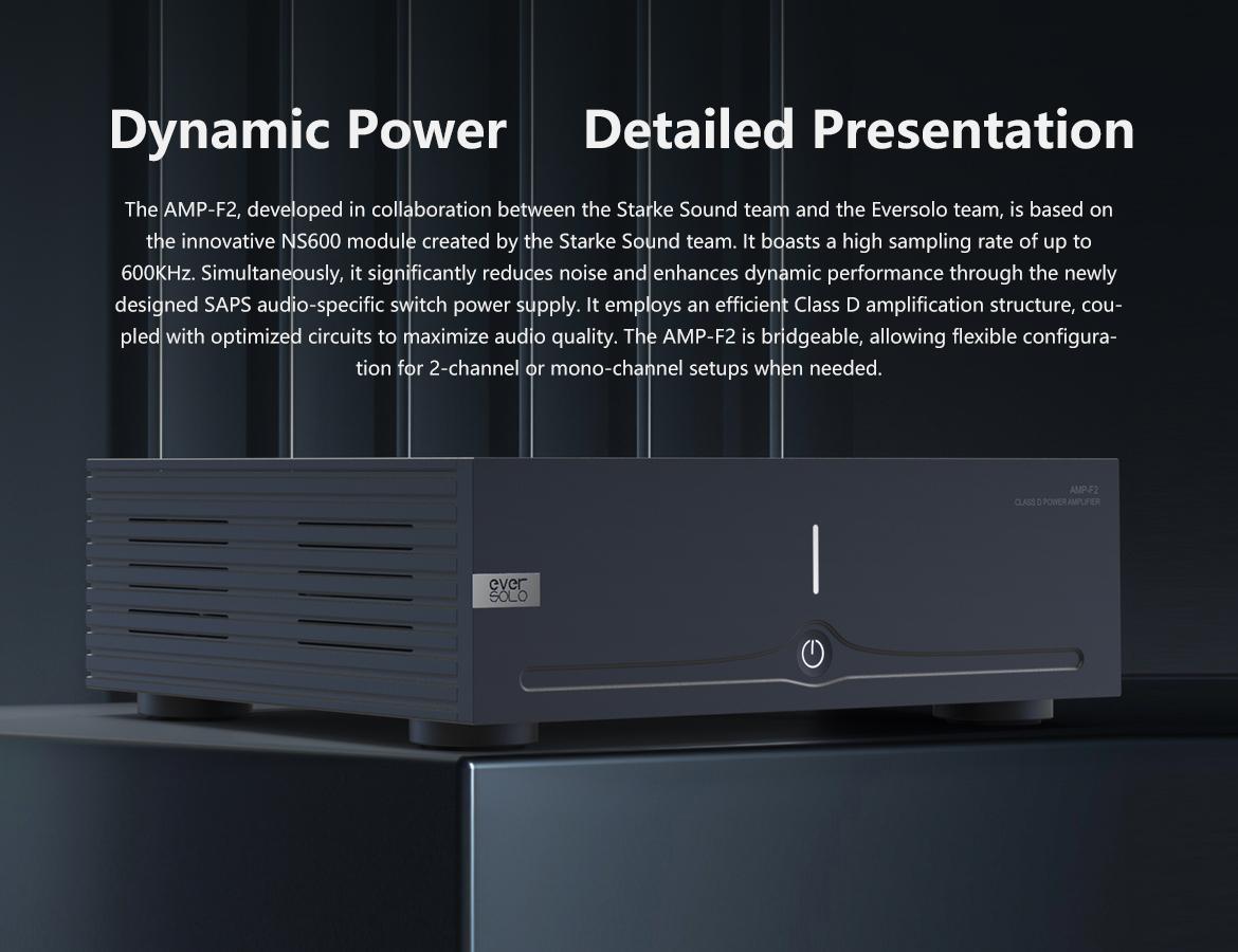 POWER AMPLIFIER EVERSOLO AMP-F2