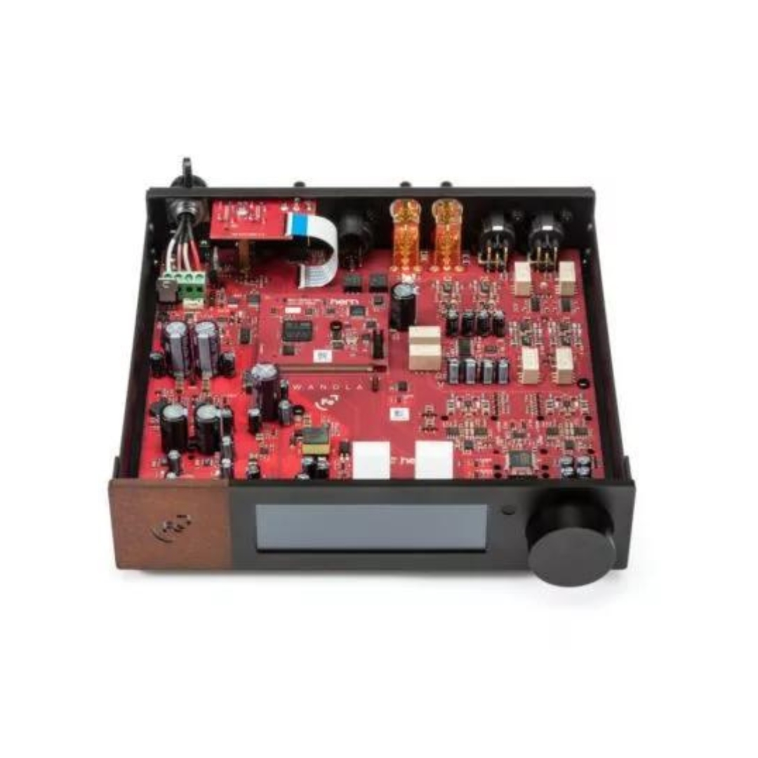 Ferrum WANDLA GoldenSound Edition - Ảnh 5