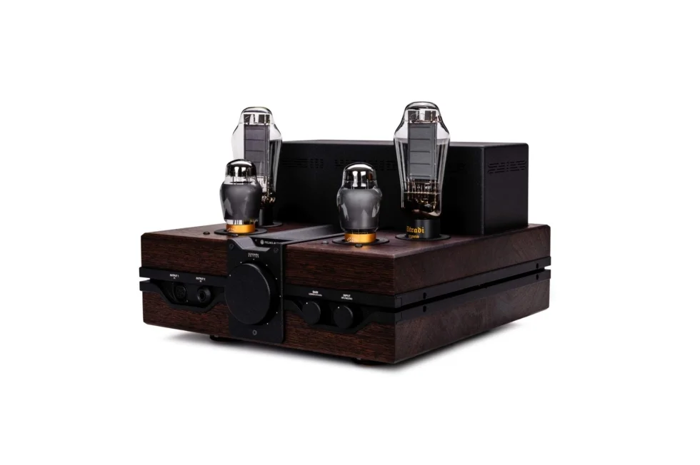 Feliks Audio Envy Susvara Edition - Ảnh 8