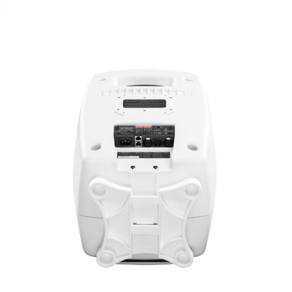 Genelec 8361A SAM™ Studio Monitor - Ảnh 8