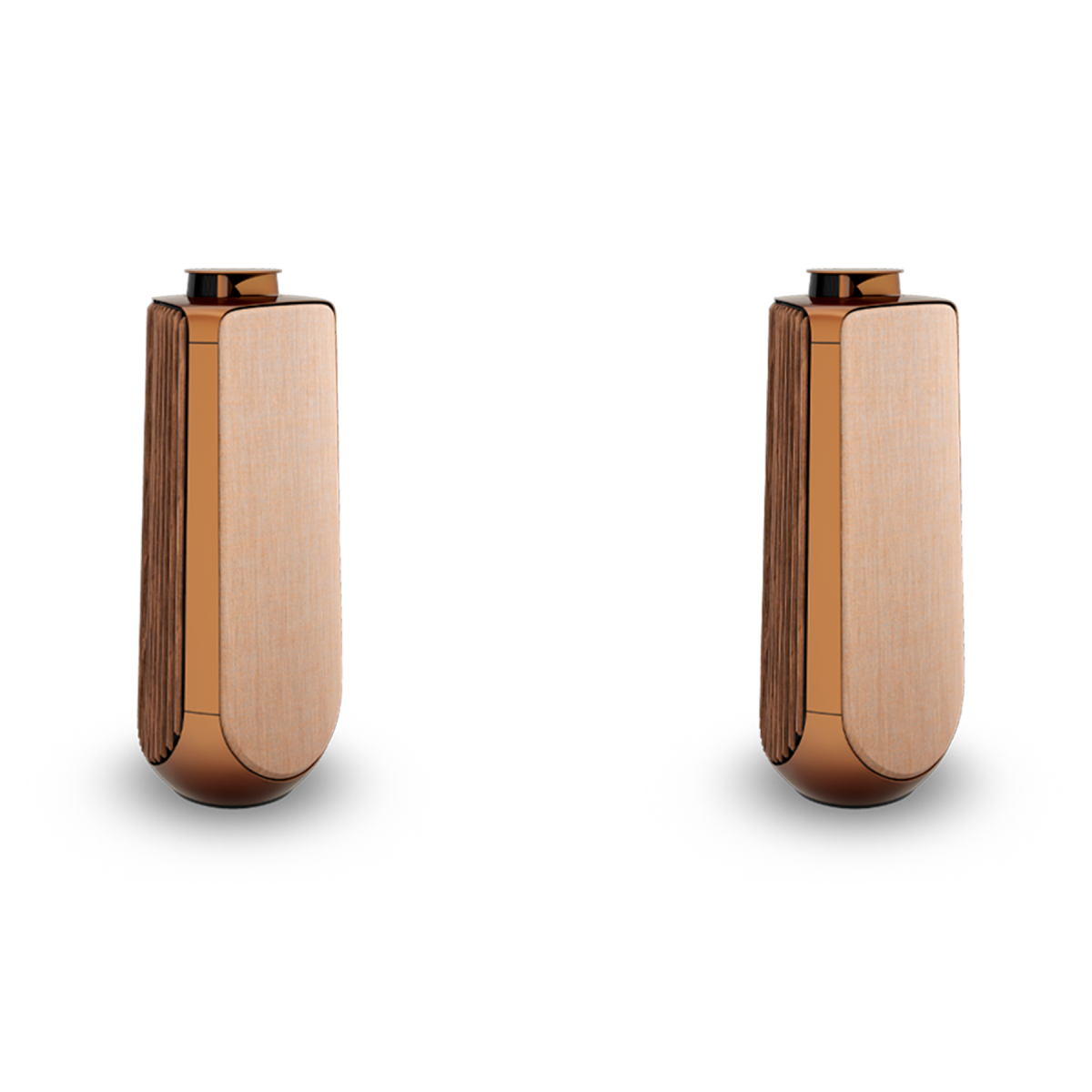 Bang & Olufsen BEOLAB 50 - Ảnh 11