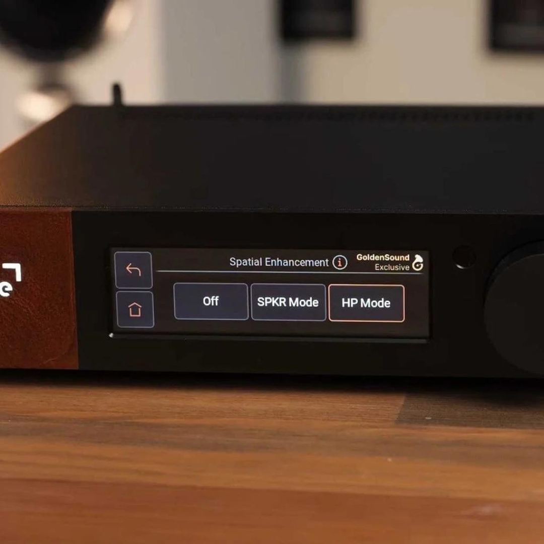 Ferrum WANDLA GoldenSound Edition - Ảnh 6