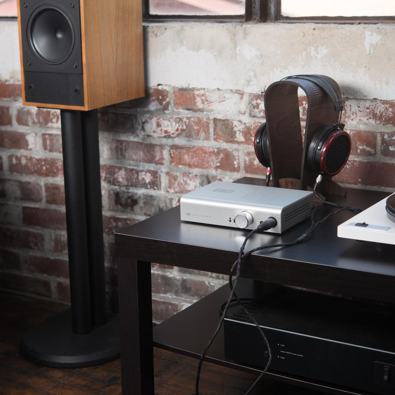 Schiit Jotunheim (Stand-alone Amplifier) - Ảnh 7
