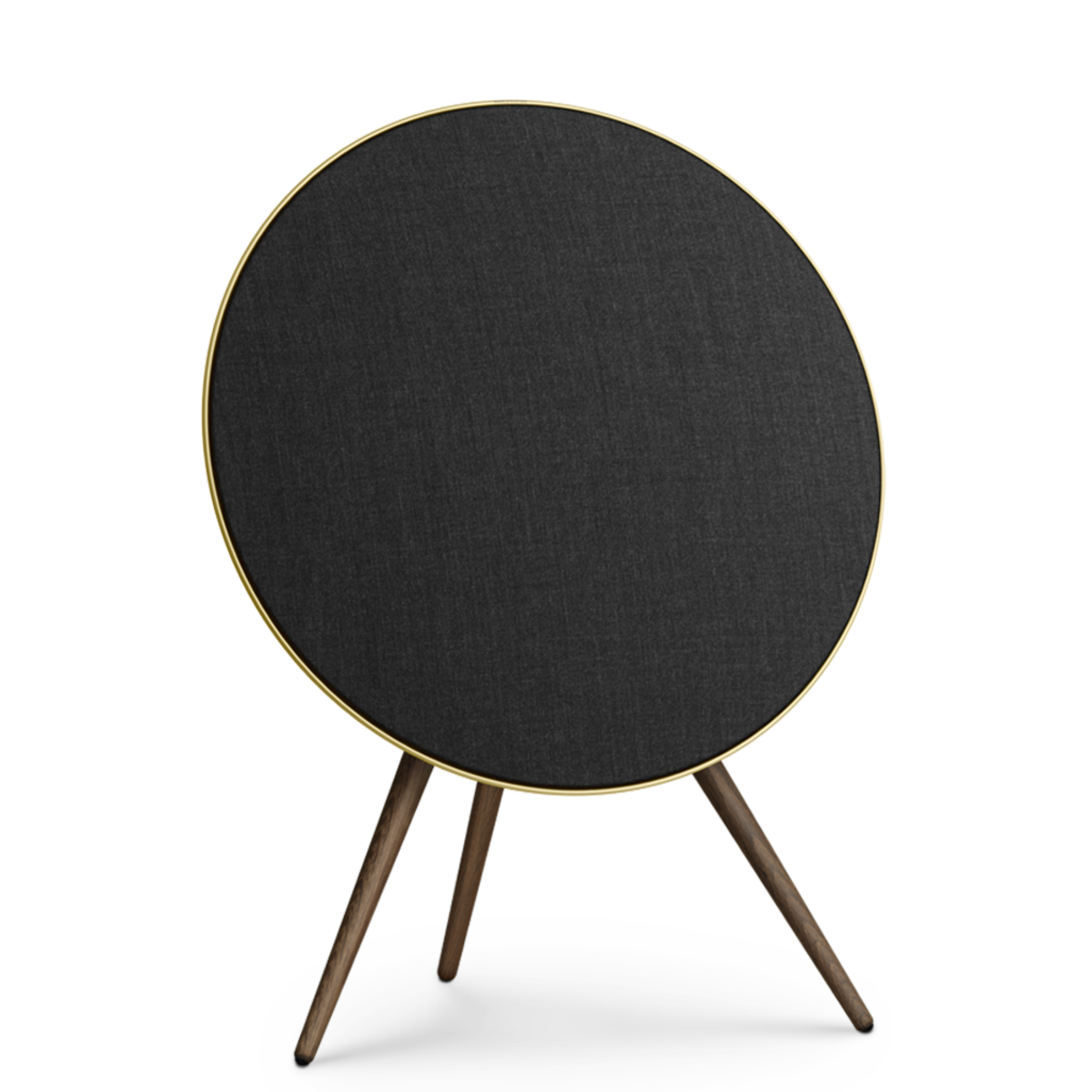 Bang & Olufsen BEOPLAY A9 (4TH GEN) - Ảnh 5