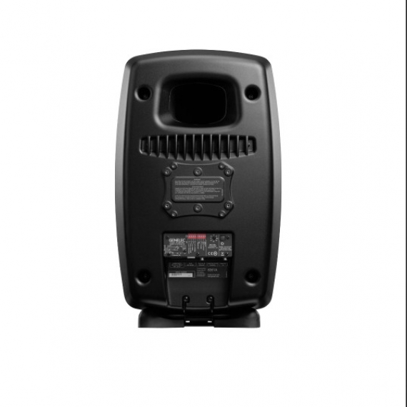 Genelec 8361A SAM™ Studio Monitor - Ảnh 15