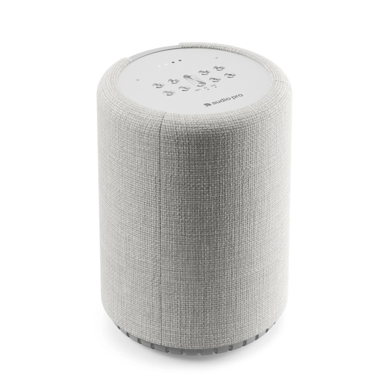 Audio Pro G10 - Ảnh 6