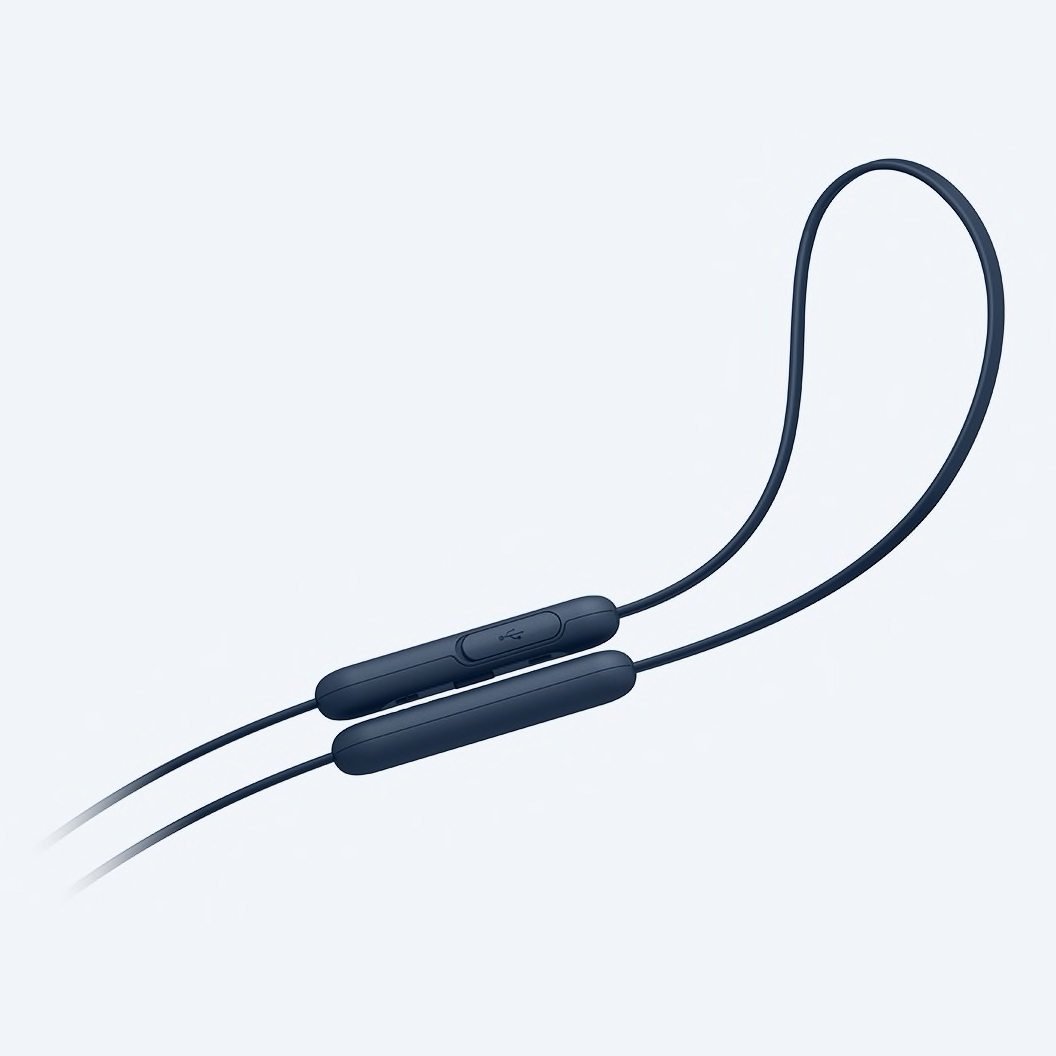 Sony WI-XB400 - Ảnh 7
