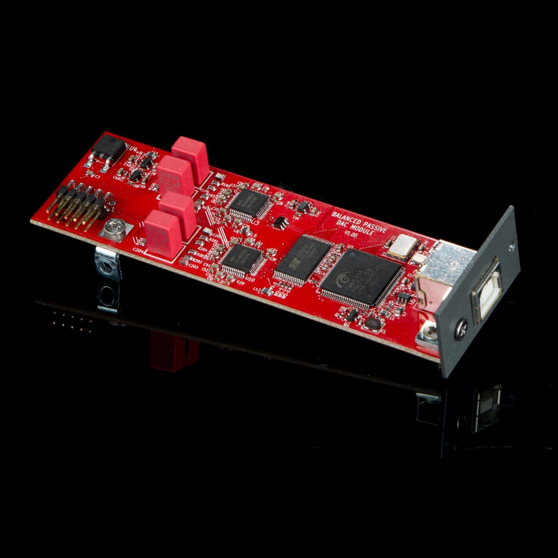 Schiit Jotunheim (Stand-alone Amplifier) - Ảnh 5