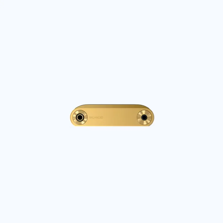 Sony WM1ZM2 - Ảnh 5