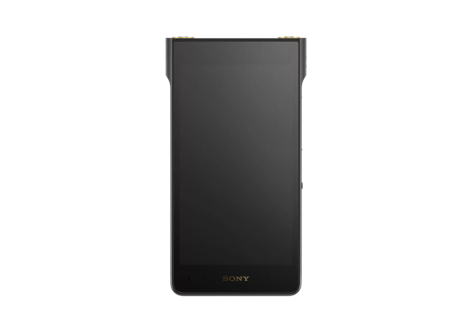 Sony Walkman NW-WM1AM3