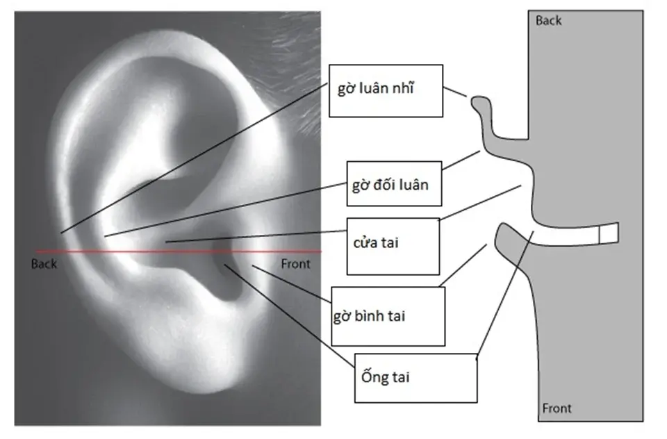 Đang tải tinhte_tai_nguoi.png…