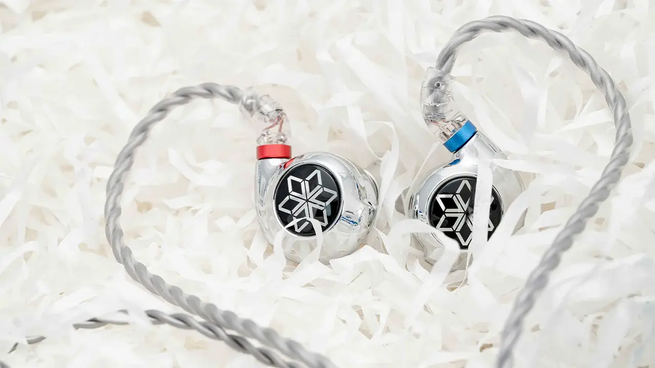 FiiO Launches FD11 Latest 10mm Dynamic Driver IEMs — HiFiGo