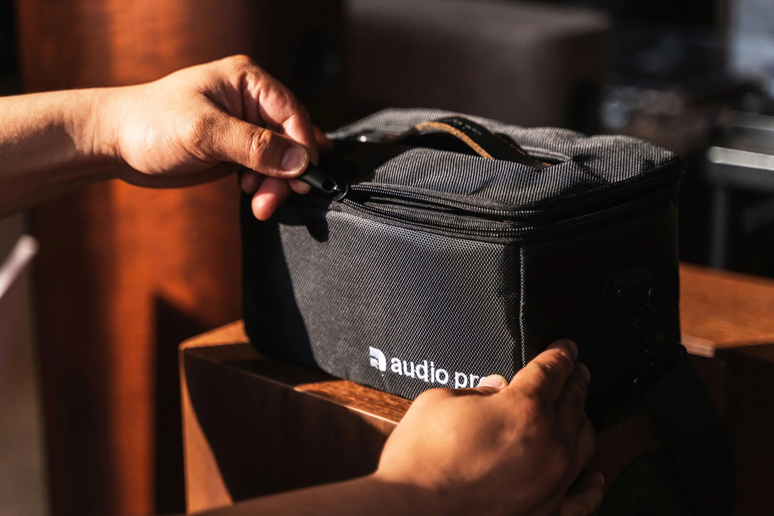 Audio Pro T3+ Bag - Ảnh 8