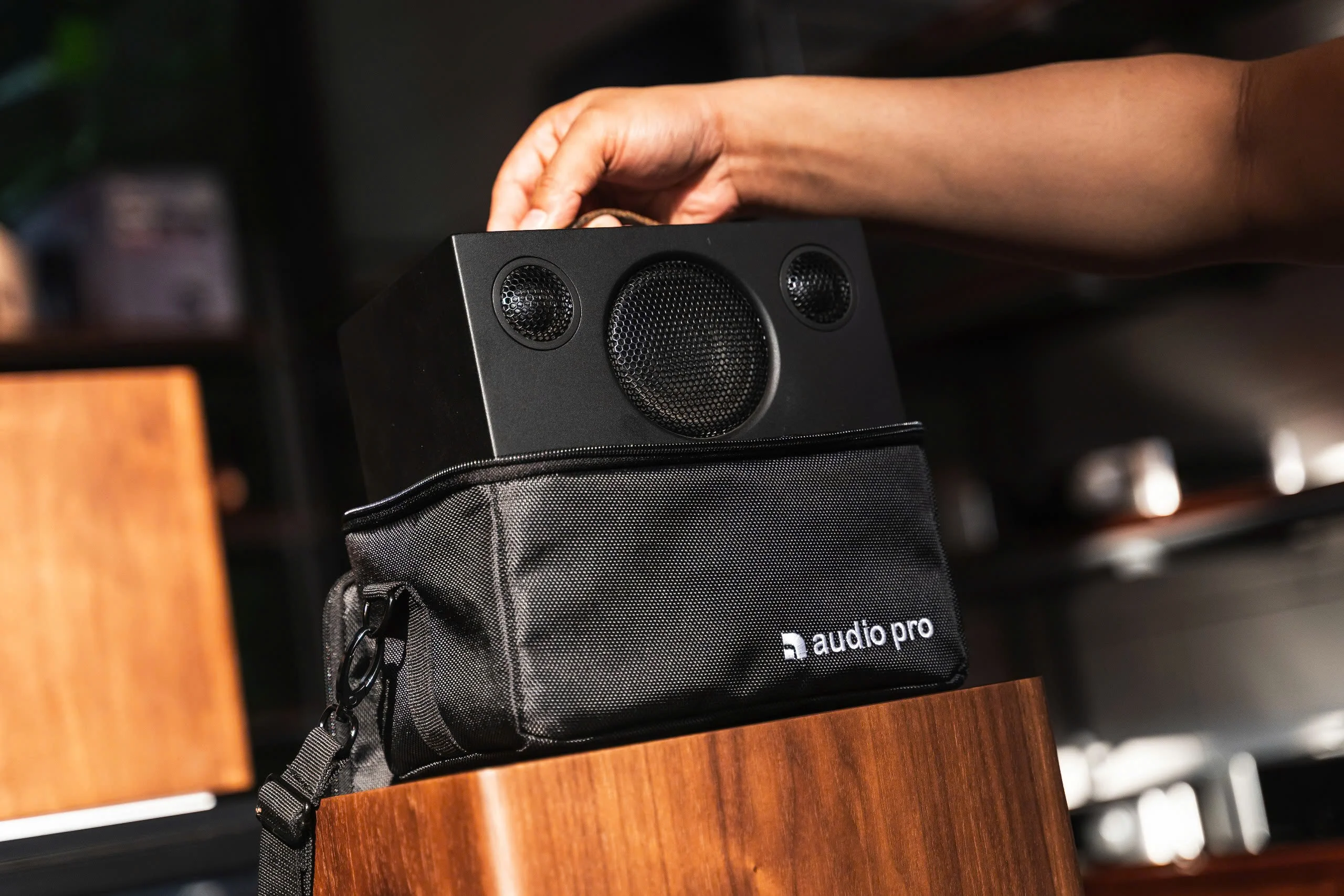 Audio Pro T3+ Bag - Ảnh 10