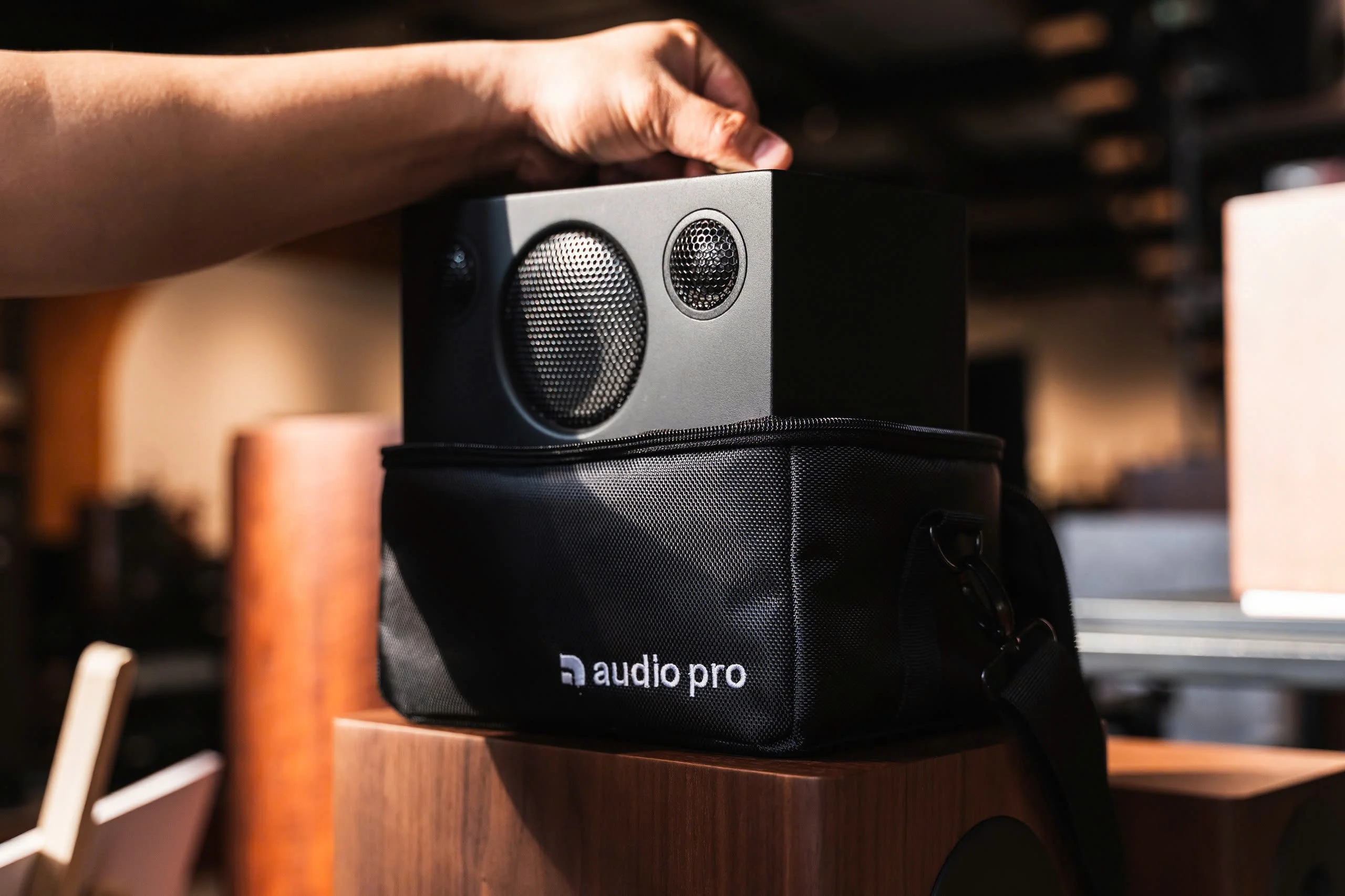 Audio Pro T3+ Bag - Ảnh 5
