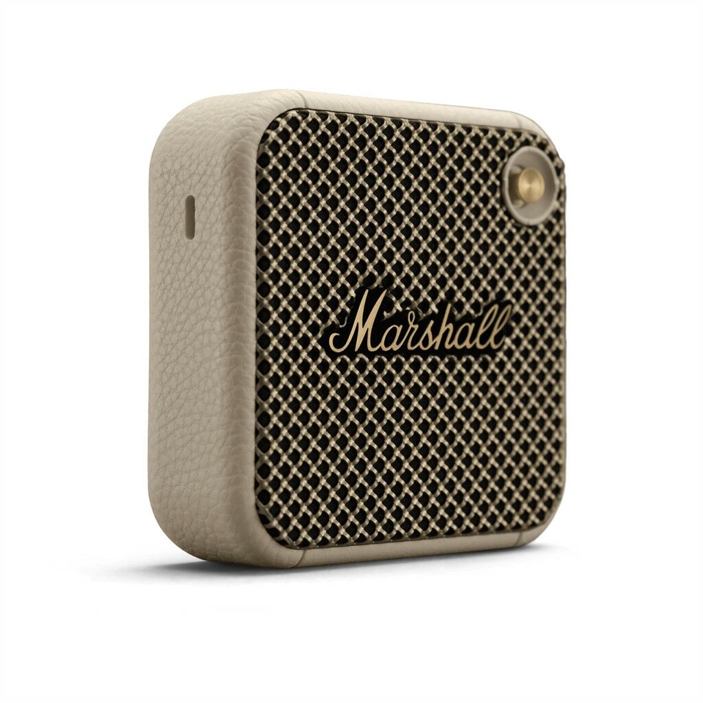 Marshall Willen - Ảnh 12